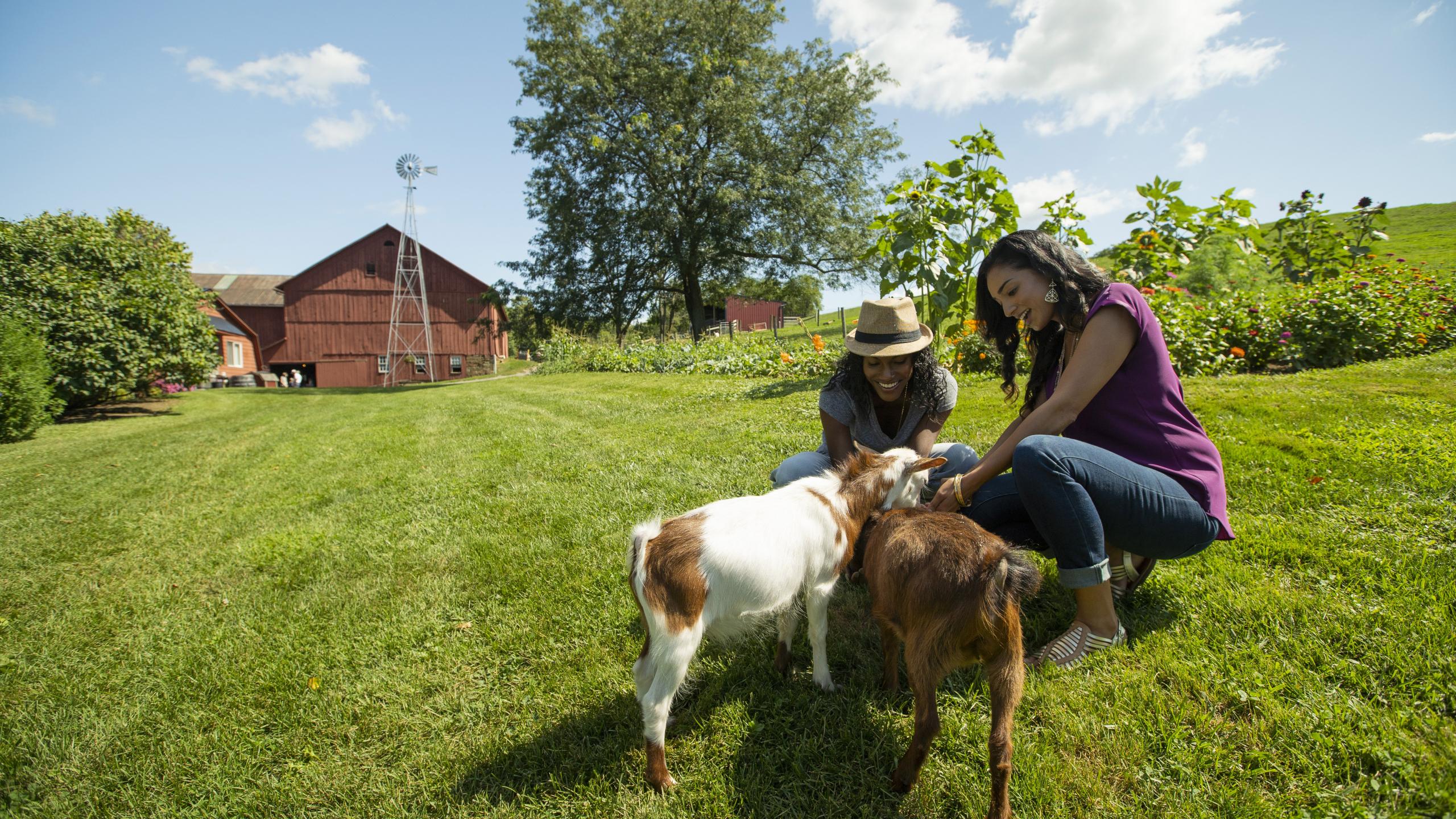 Ohio Road Trip: Rock ‘n Roll, Roller Coasters, City Culture and Charm