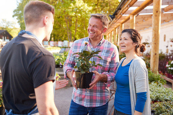 Navigating the Shift: Understanding and Utilizing Peat-Free Potting Soil for Optimal Gardening