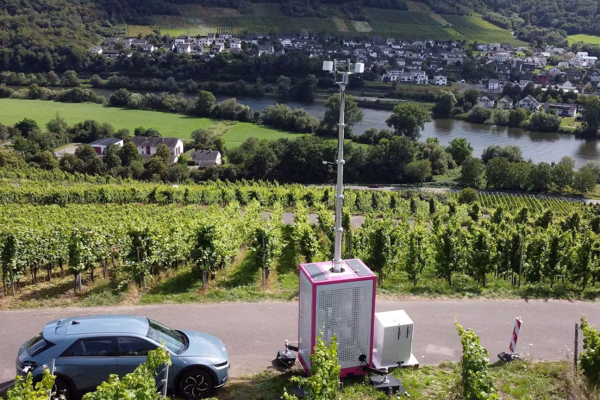 5G Revolutionizes Winemaking: Telekom's Smart Vineyard Project