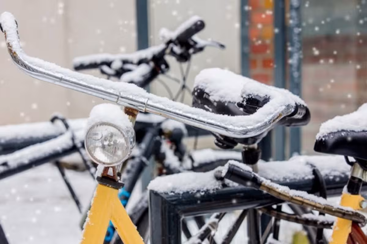 How to Protect Your Bike from Theft: Expert Tips and Insurance Advice