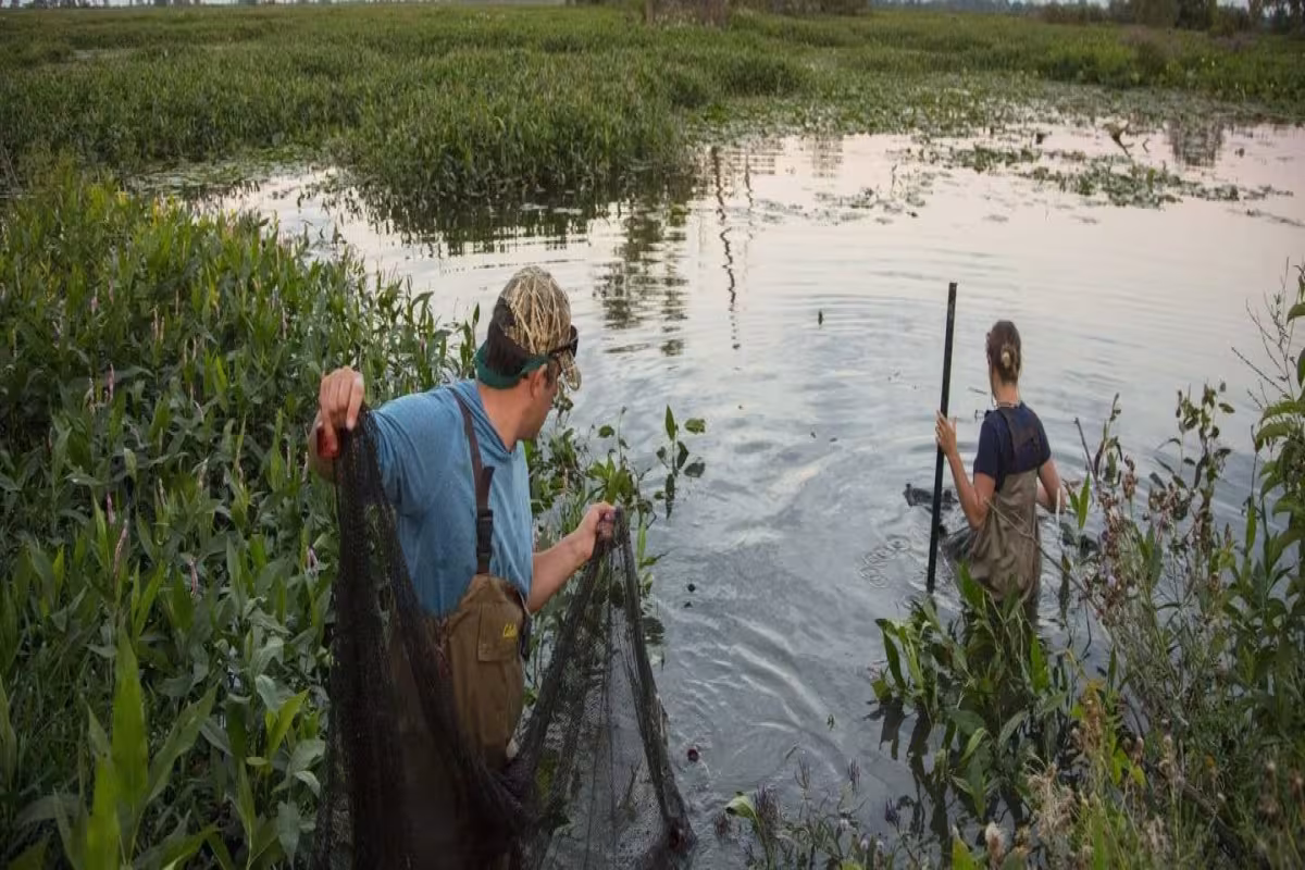 Kia America and The Nature Conservancy Launch $3M Freshwater Conservation Campaign