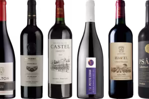 Israeli Wines Make a Splash at ProWein 2024 in Düsseldorf
