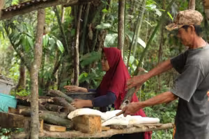 Continental Expands Natural Rubber Sustainability Project to Empower More Farmers by 2027