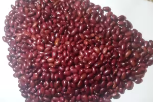ETHIOPIAN AGRO COMMODITIES SUPPLIER