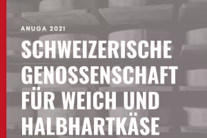 Pelipal: Creating Dream Bathrooms with Character Pelipal: Creating Dream Bathrooms with Character