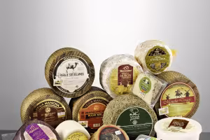 Spanish DO Cheese Selection