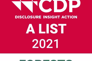 Barry Callebaut leading in corporate action and transparency on deforestation