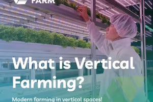 VertiFarm 2024 Showcases Innovative Solutions for a Sustainable Global Food System