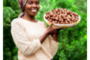 LIMBUA MACADAMIA NUTS: HARD OUTSIDE - FAIR INSIDE