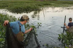 Kia America and The Nature Conservancy Launch $3M Freshwater Conservation Campaign