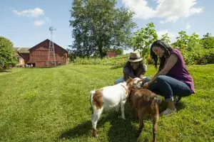 Ohio Road Trip: Rock ‘n Roll, Roller Coasters, City Culture and Charm
