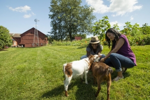 Ohio Road Trip: Rock ‘n Roll, Roller Coasters, City Culture and Charm