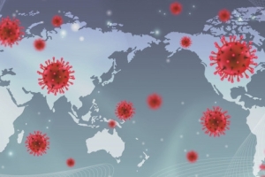 How we develop our business during Covid-19?