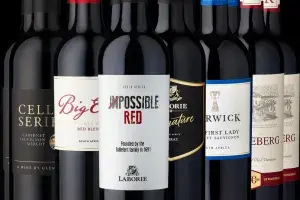 South African Wines Shine at Prowein 2024