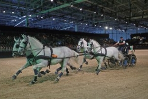 Equitana 2023 - new date for the World Equestrian Show