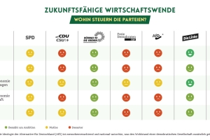 Economists for Future Releases Evaluation of German Parties' Economic Policies