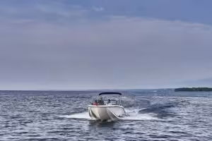 Bayliner M19
