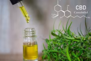 Fitter with CBD? Nutrition trend featured with dedicated area at FIBO