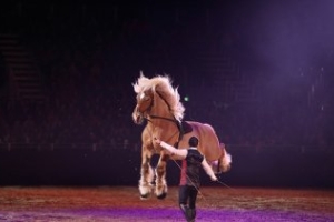 The highlights of Equitana 2023