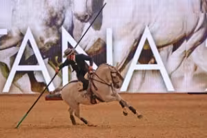 EQUITANA 2023: Future perspectives and sustainability