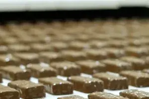 AnnaLife: Leading the Natural Snack Revolution