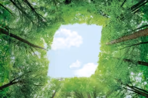 BKT Fortifies Sustainable Practices with Membership in Global Platform for Sustainable Natural Rubber