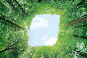 BKT Fortifies Sustainable Practices with Membership in Global Platform for Sustainable Natural Rubber