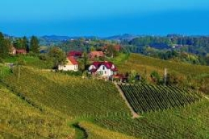 Austrian Wine Shines at ProWein 2024