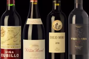 Ribera del Duero and Rioja Impress at ProWein 2024