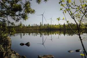 Volkswagen Powers ID. Fleet with Renewable Energy from 26 Solar and Wind Farms