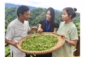 Diplomats Explore Giant Pandas and Tea Culture in Ya'an, China