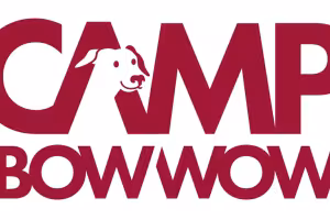 Camp Bow Wow's Live Webcams Let Owners Watch Dogs During Overnight Boarding