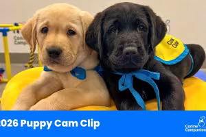 Canine Companions Launches Puppy Cam with Snoopy Cameo for Service Dog Month