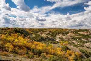 North Dakota's Fall Foliage Season Brings Scenic Drives and Pumpkin Patches