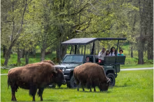 Tacoma-Pierce County Unveils Kid-First Fall Road Trip Itinerary