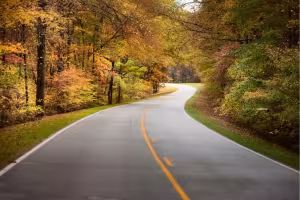 Fall Festivals, Banana Pudding and Foliage Fill Nashville's Big Back Yard