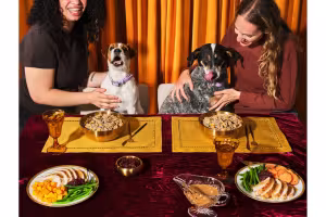 Ollie Launches Holiday Feast, a Fresh Turkey Dinner Made Just for Dogs