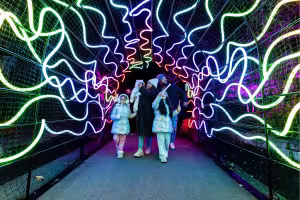 ENLIGHTEN Holiday Light Show Returns to Meijer Gardens Nov. 23 With New Finale