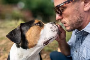 Dog Ownership Costs More Than Expected, Survey Finds