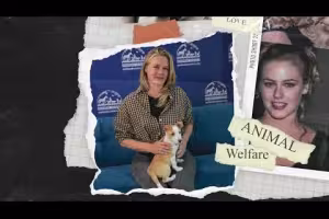 Alicia Silverstone Joins Global Push to Find Homes for Shelter Pets