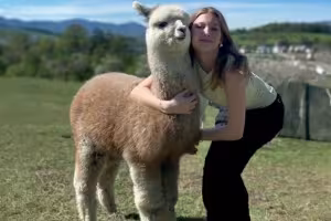 Alpaca Wool Insoles: A Natural Alternative to Synthetics