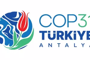 How to Follow COP31 on TV and Streaming: ZDF, 3sat, phoenix