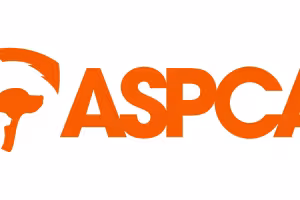 ASPCA Warns: Hydrogel in Migraine Caps, Eye Masks Poisoning Dogs