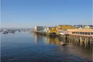 Two New Screen Adaptations Put Monterey County on the Map