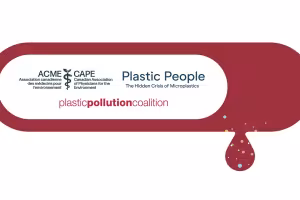 Microplastics Found in the Blood of 27 of 28 People Tested