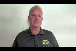 Roof Damaged by Storm? Here's What Not to Do First