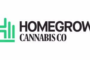 Buying Autoflower Seeds Online: What to Check First