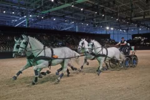 Equitana 2023 - new date for the World Equestrian Show