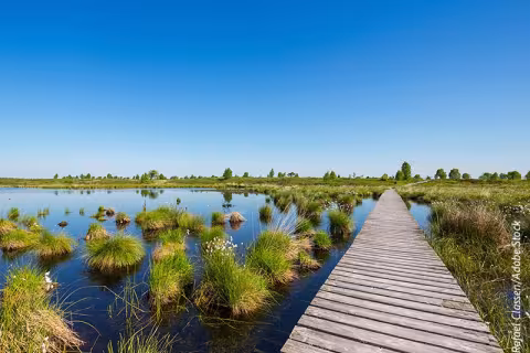 Sustainable Gardening: Why Ditching Peat is Essential for Our Planet