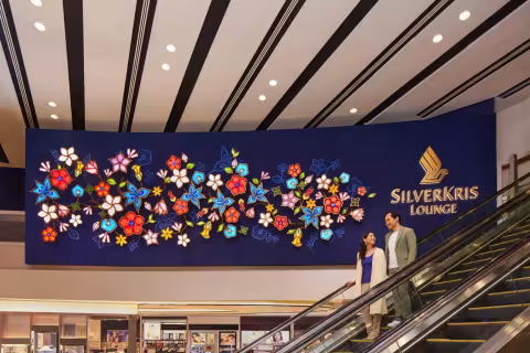 Singapore Airlines Sees "Robust" Passenger Demand in January